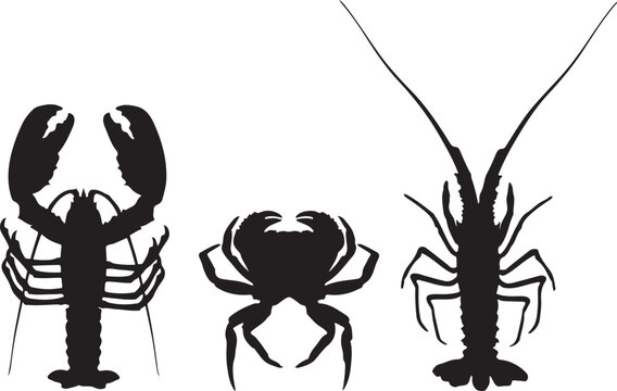 Silhouettes of lobster, crab and crawfish