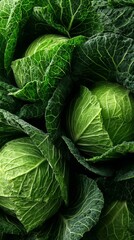 Fototapeta premium Fresh green cabbages arranged beautifully in lush green leaves.