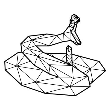 Snake biting polygonal