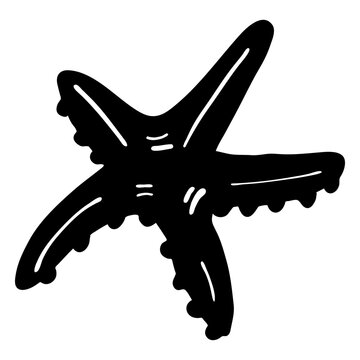 Starfish star detailed silhouette