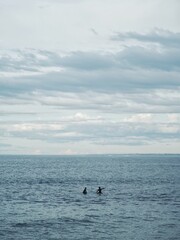 Obraz premium Two surfers are alone at sea, waiting for waves and pointing to the horizon, where perhaps something interesting will happen; meanwhile, the horizon of the sea, the sky and the clouds are calm in the 