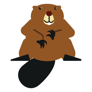 Beaver tail fat rodent claw rounded flat