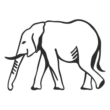 Elephant ivory ear trunk tail flat doodle