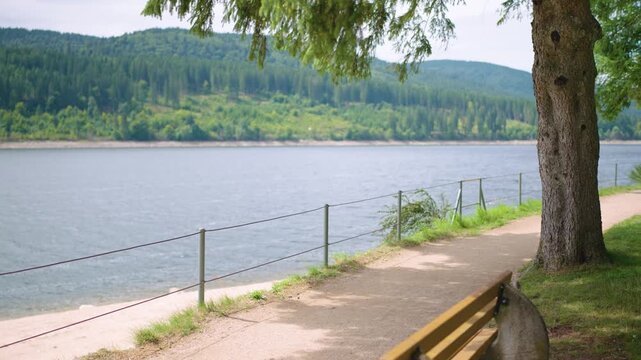 Overlooking a bench and revealing Schluchsee Schwarzwald Black Forest Germany