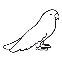 Fototapeta premium Cute parrot standing profile outline