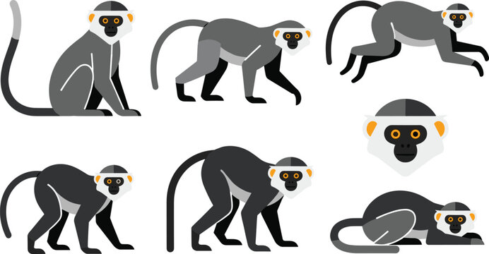Flat Monkey Character Pose Set Featuring Different Sitting Walking Jumping and Resting Positions with Isolated Animal Illustrations for Wildlife Design