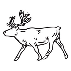 Obraz premium Elk moose animal stroke