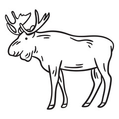 Fototapeta premium Moose elk animal stroke