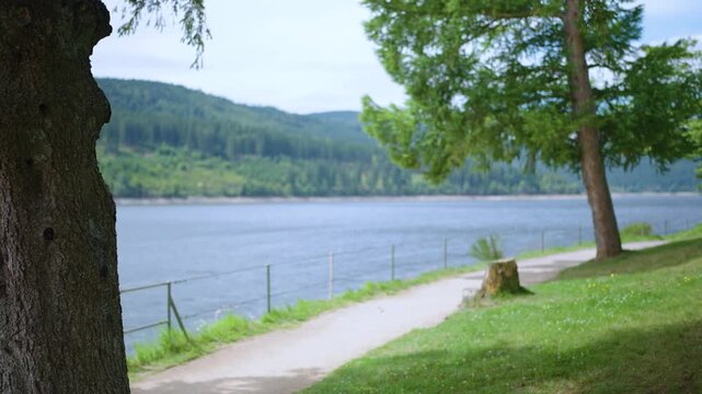 Schluchsee Schwarzwald Black Forest Germany on sunny day seen between trees