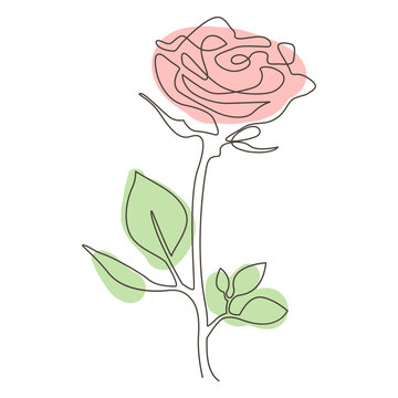 Colorful rose line drawing