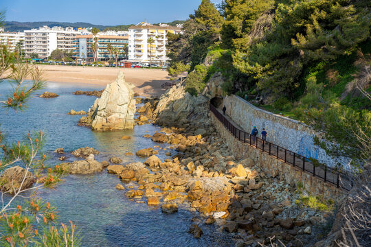 Fenals beach and lloret de mar seen from a coastal camin de ronda, people strolling rocky shore under blue sky with pine clad cliffs, clear mediterranean water, summer leisure