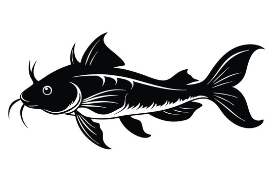 plecostomus silhouette line art vector illustration
