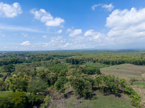 Wide angle aerial view of a mosaic landscape with a village road winding through dense teak forests and community fields.