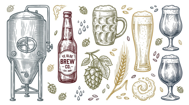 Vintage brewery collection with hand-drawn vector illustrations of beer brewing equipment, hops, barley, bottle, mug, and glasses in traditional engraving style