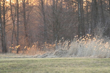 Zachód słońca nad rzeką Pisa © Grzegorz