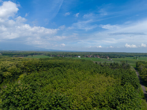 Wide angle aerial view of a mosaic landscape with a village road winding through dense teak forests and community fields.