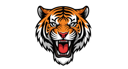 Fototapeta premium Tiger head illustration roaring with visible fangs isolated on white background