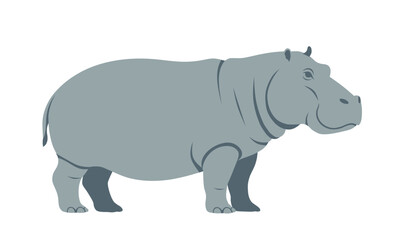 Fototapeta premium Hippopotamus