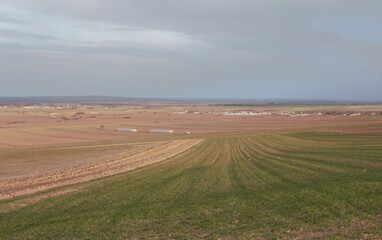Fototapeta premium A large field with a few fields of crops and a cloudy sky