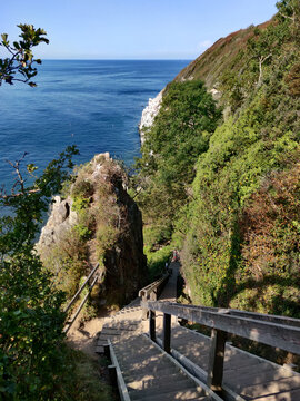 Wooden stairs descend a lush green cliffside towards the blue ocean. Jons Kapel - Bornholm Denmark