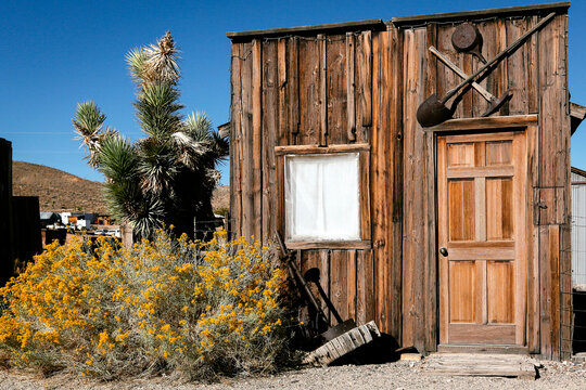 Gold Point, Nevada. Rustic wooden cabin with wildflowers desert ghost town scene
