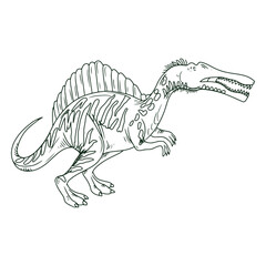 Dinosaur spinosaurus © Vexels