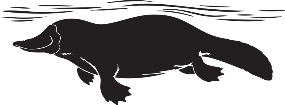 Black silhouette of a platypus swimming in water