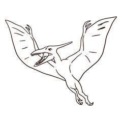 Pterosaur dinosaur stroke © Vexels