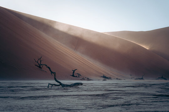 View of the stark contrast of dead trees against towering dunes, the wind sculpting the sand in a dance of light and shadow, Namibia, Africa, Namibia.