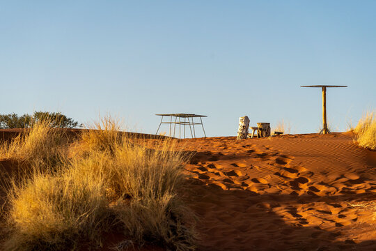 View of sun-kissed dunes and sparse vegetation contrast against the clear sky, with minimal structures dotting the horizon, Namibia, Africa, Namibia.