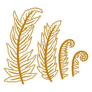 Botanical fern leaves wall decal