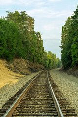 Obraz premium Train tracks surrounded by trees 