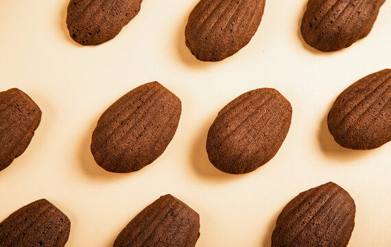 Chocolate madeleines on a neutral background