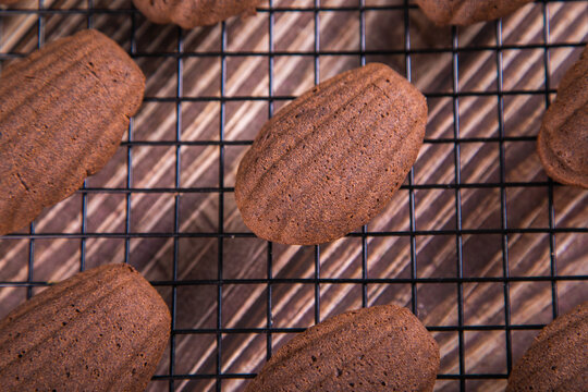 Chocolate madeleines on a cooling rack