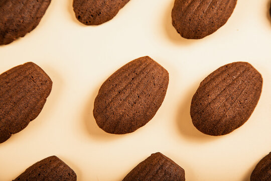 Chocolate madeleines on a neutral background