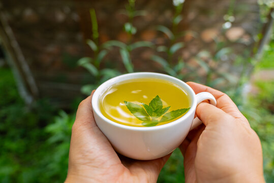 Fresh homegrown mint tea in a white ceramic cup