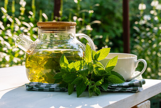 Fresh homegrown mint tea in a glass teapot