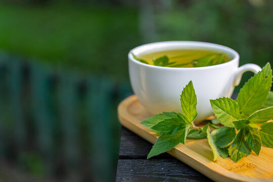 Freshly brewed homegrown mint tea in white cup