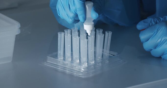 Laboratory technician pipetting sample solution for COVID-19 rapid antigen test in Berlin, Germany