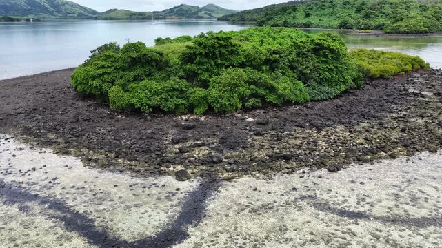 The many, lush, tropical islands of Fiji are surrounded by biodiverse coral reefs. 