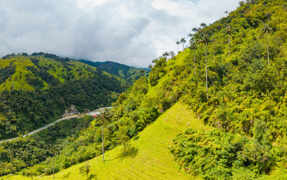 Scenic view of la Linea highway in Colombia's Andes