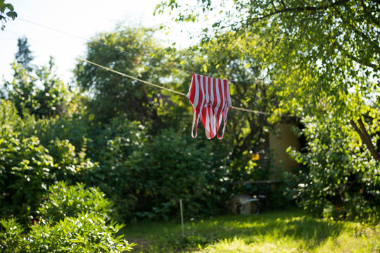 Striped swimsuit on laundry line in sunny garden