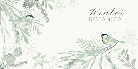 Winter botanical illustration featuring birds and evergreen branches © John Lee