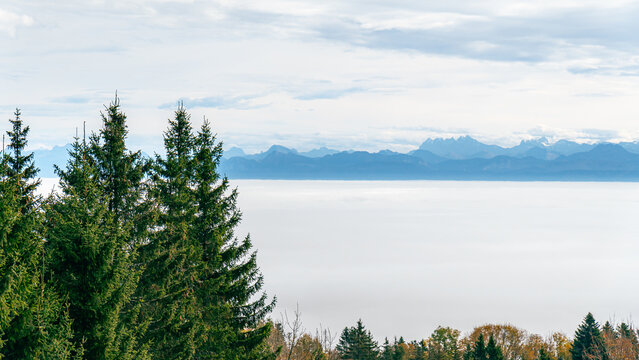 Alpine landscape with Dents du Midi in background