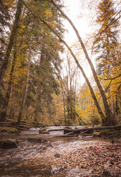 Autumn serenity at Cascades du Herisson, Jura