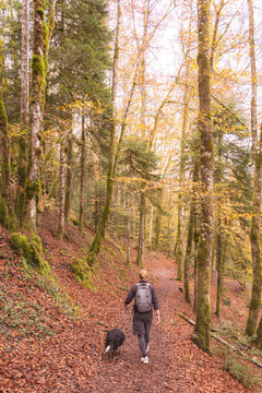 Autumn hike at Cascades du Herisson with dog companion
