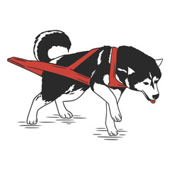 Husky with a red harness © Vexels