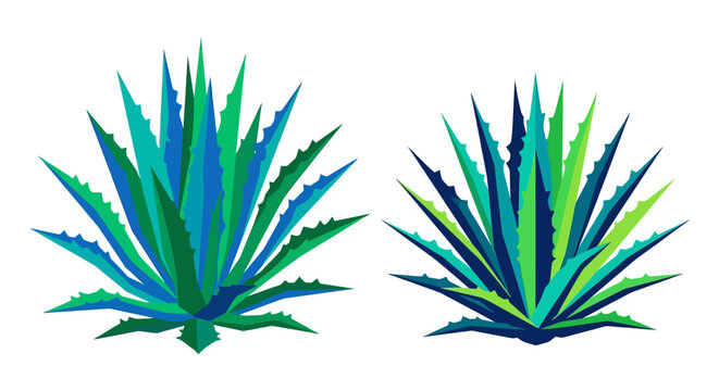 Two stylized agave plants with vibrant blue and green gradients
