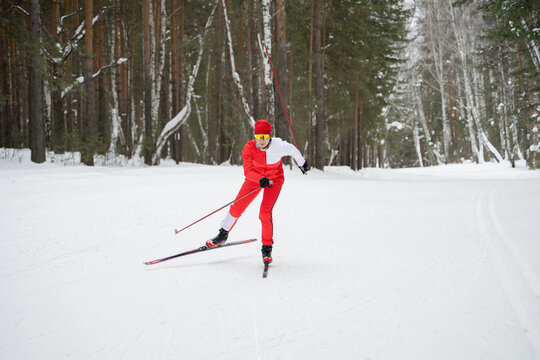 Cross-country skier gliding through snowy forest trail