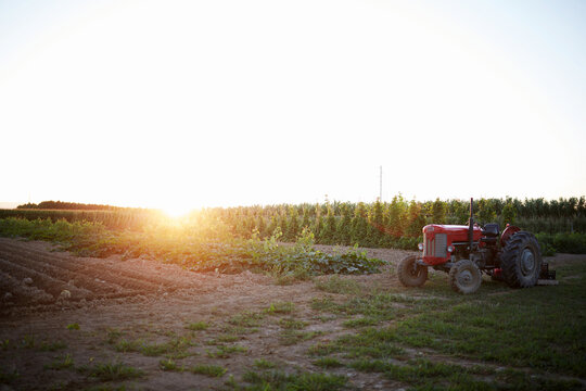 Sunrise over organic farm with tractor and crops